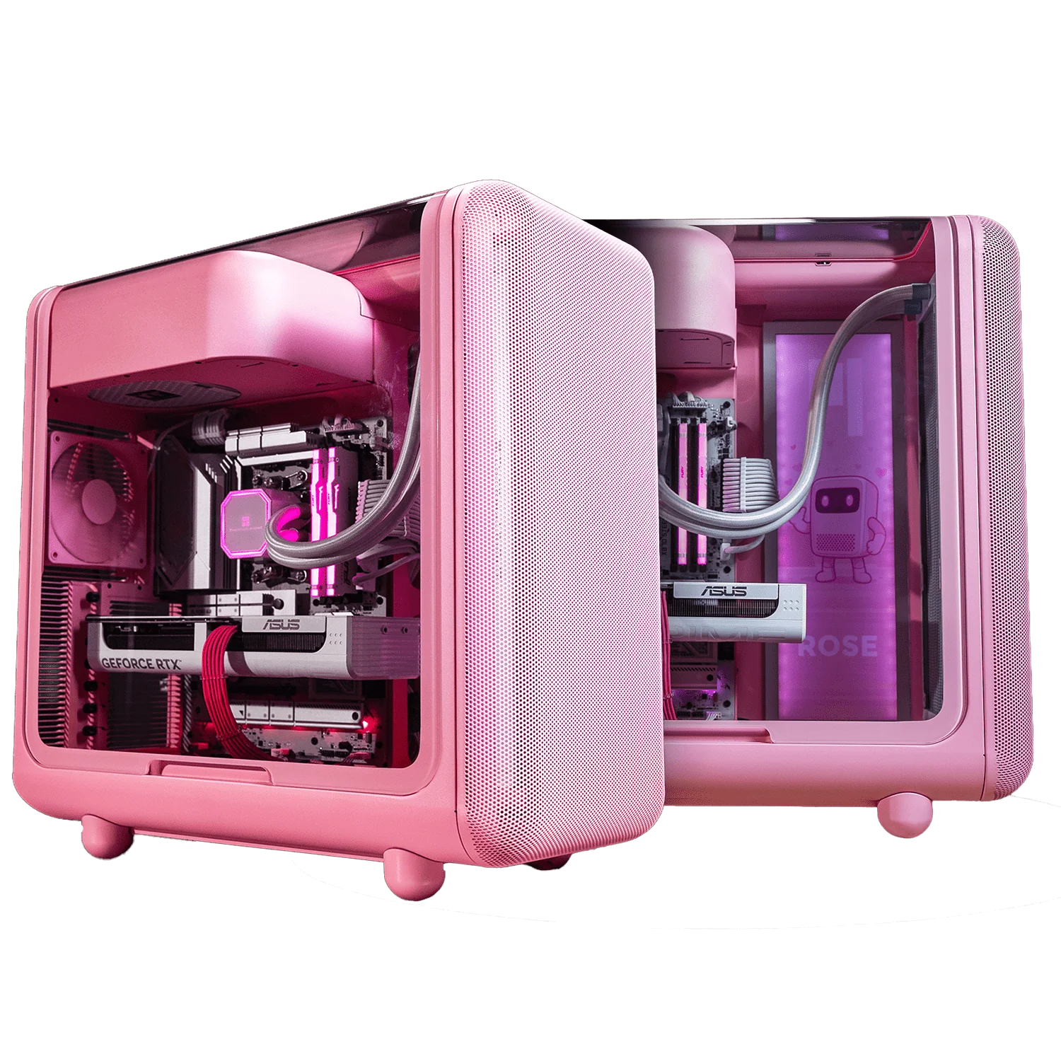 X50 ROSE